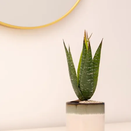 Salford Free Parking *