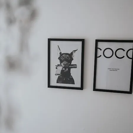 Haven Noir By Cefas - Pool Table - & Man Utd * Manchester