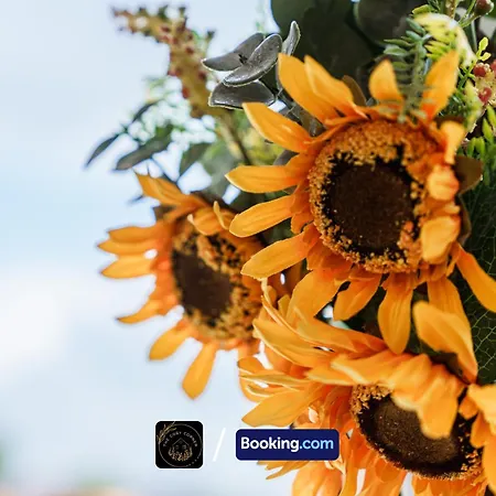 3-bed House L Free Parking L Wifi L Your Away From Hosted By The Cosy Corner Nationwide * Manchester