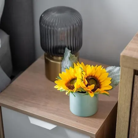Modern Chique Appartement Manchester