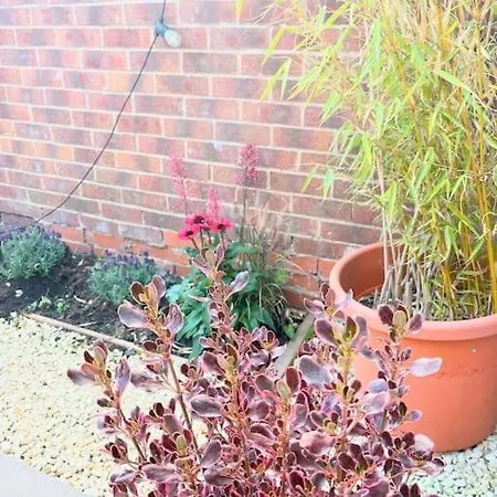 Artistic 3 Bed In Old Trafford Next To Mufc