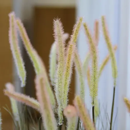 Luxury 7 Mins Walk To Salford - Pass The Keys *