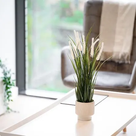 Haven Luxurious Apartamento