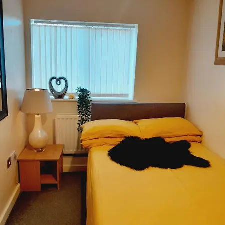 Modern 2 Bed, 2 Bath Near Etihad Stadium And Coop Live 公寓 曼彻斯特