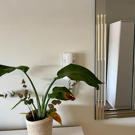 Near Centre マンチェスター