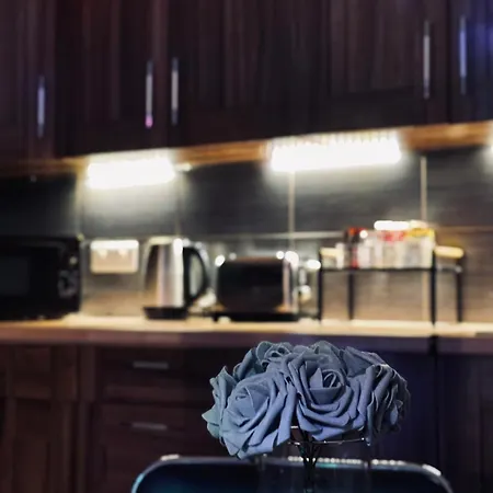 The Swanky Apartment manchester *