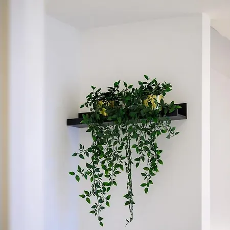 Apartamento Modern Luxurious