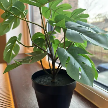 Διαμέρισμα M16 Deluxe - 2 Μάντσεστερ