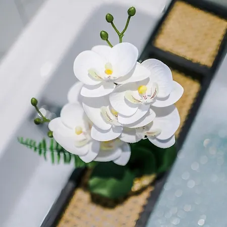 Stunning In Altrincham, Large Driveway, Sleeps 7, Perfect For Groups * Mánchester