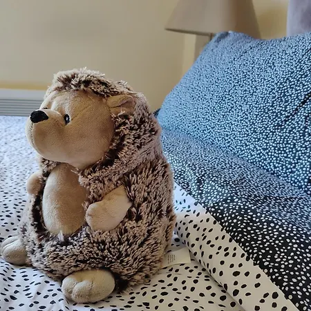 Spacious Homely Manchester City Stay Near Ao Arena And Shopping Centre With 500Mbps Internet & Netflix Manchester