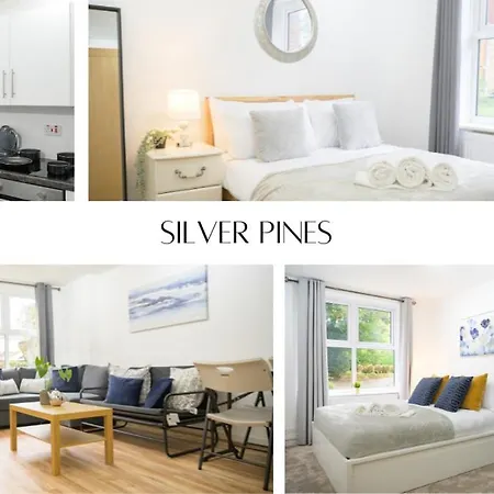 Apartman Silver Pines - 2br - King Bed - Sleeps 6 - Wi-fi - Free Parking Manchester