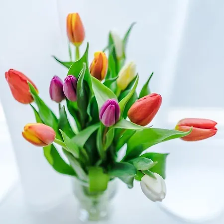 The Stadium Retreat *