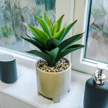 Hébergement de vacances The Stadium Retreat