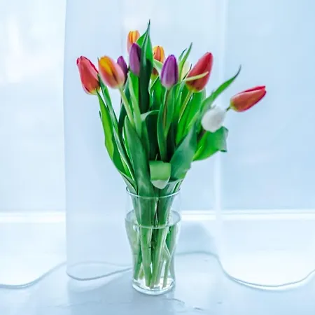 Hébergement de vacances The Stadium Retreat *