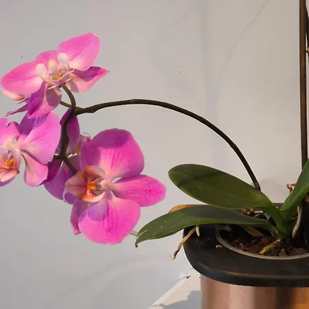 Spotless And Spacious Manchester