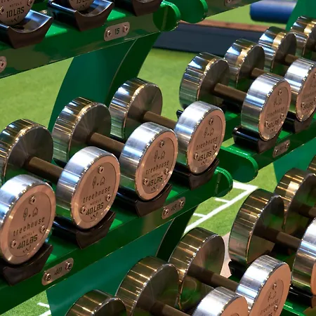 Ξενοδοχείο Treehouse