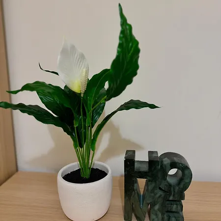 Apartman Chic Trafford Apartment, Private Underground Parking, Fast Wi-fi, Self Check-in Anytime, 5 Mins To Old Trafford Stadium *