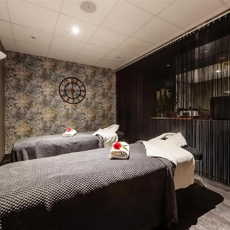 曼彻斯特中心丽笙公园酒店 酒店 4*