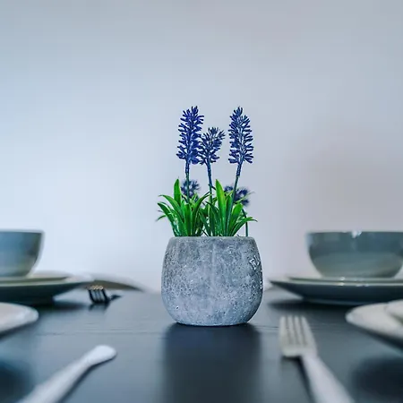 Charming Salford, Staycation, Wifi, Sleeps 5 アパート