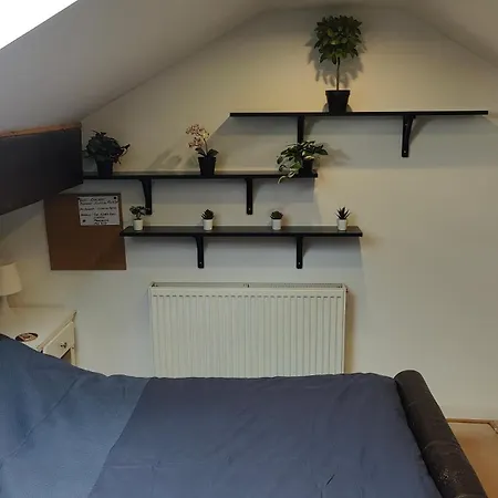 Privatunterkunft Edwardian House *