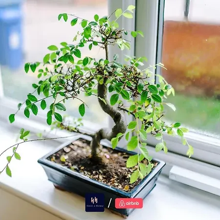 Comfy 1br In Salford, Kitchen, Wifi And Parking Apartamento *