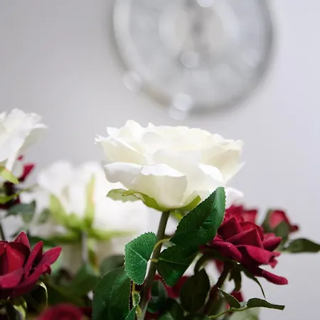 Joyful Management - Riverview 1 Bedroom 10 Min To Centre Апартаменты Манчестер