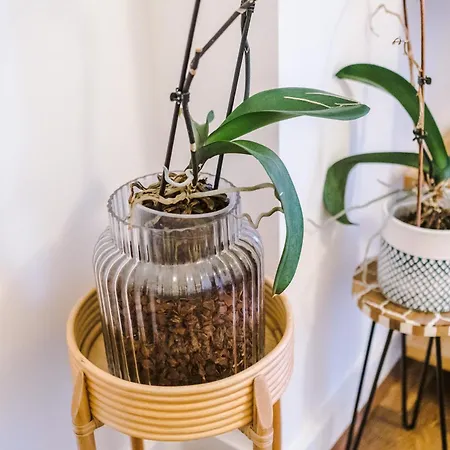 Elegant 2br Flat Near Northern Quarter Διαμέρισμα