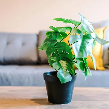 Modern 3 Bedroom - Driveway Parking For 2 Vehicles, Close To Centre مانشستر