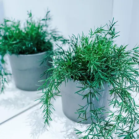 Stylish 1-bed Fast Wi-fi Easy Access To * Manchester