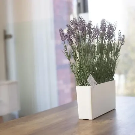 Park View 3 Bed Ensuite Only 5 Min Walk To Arndale Manchester