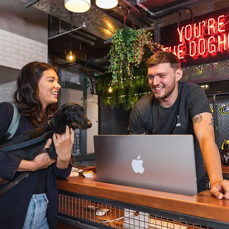 ホテル Brewdog Doghouse