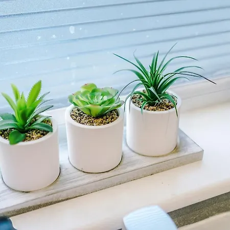 Luxury 2 Bed Close To Coop Etihad And Centre * Μάντσεστερ