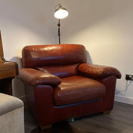 Luxury Penthouse Skyline Views