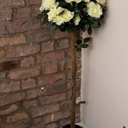 Apartment Northern Quarter Penthouse For 8 Guests By Guestready *