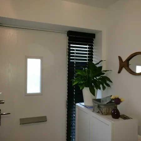 Arena House 5*