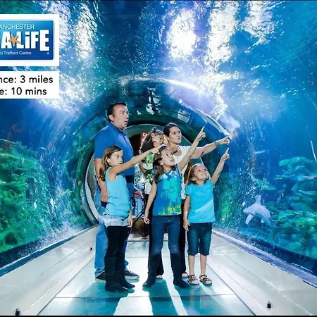 Free Street Parking Subject To Availability