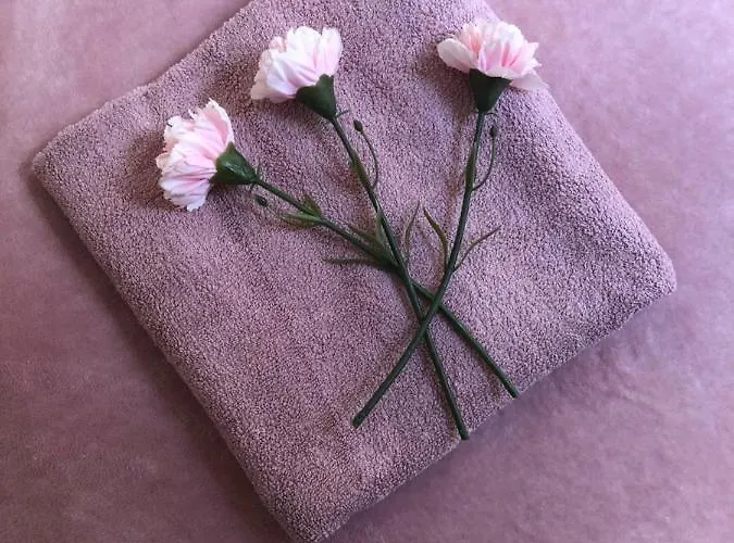 Big Rusholme With Tv And Private Bathroom-parking&wifi *