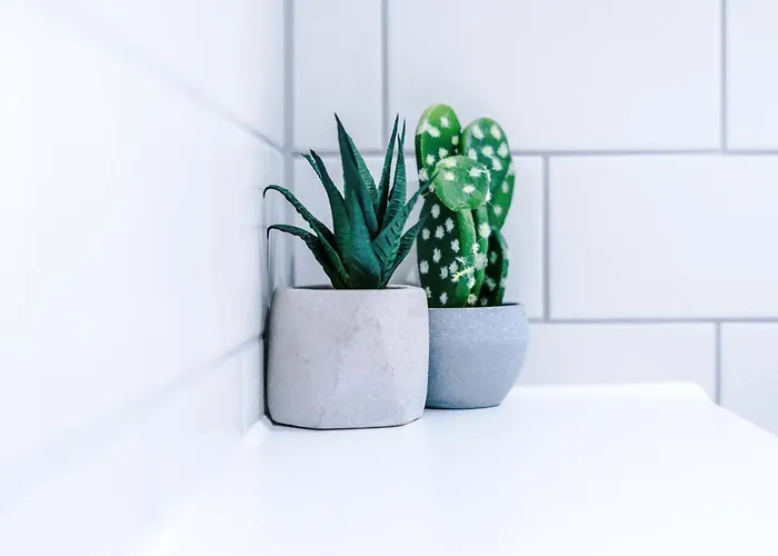 Appartement 2 Bedroom Hosted By Mcr Dens