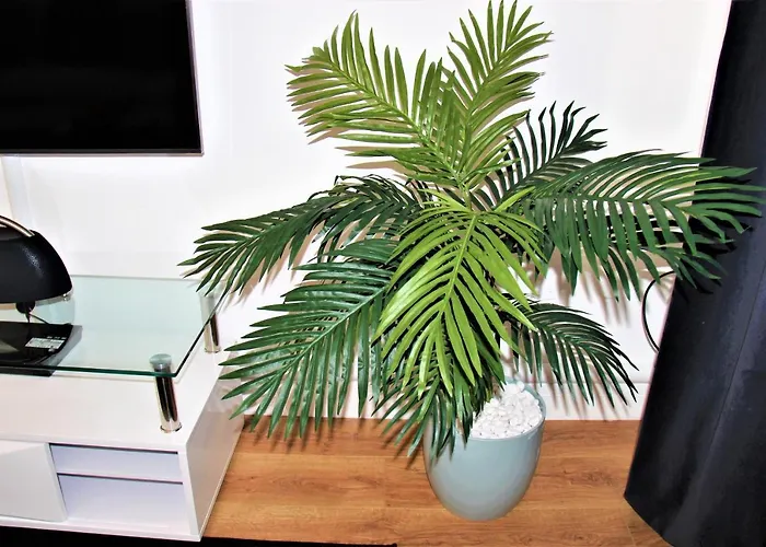 Mosh Homes Appartement