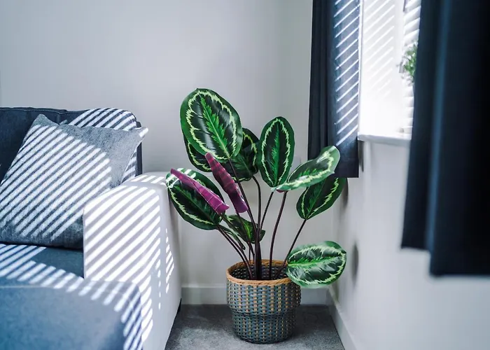 Vidale Court, 3 Bedroom House With River Irwell View, Sleeps 6 * 曼彻斯特