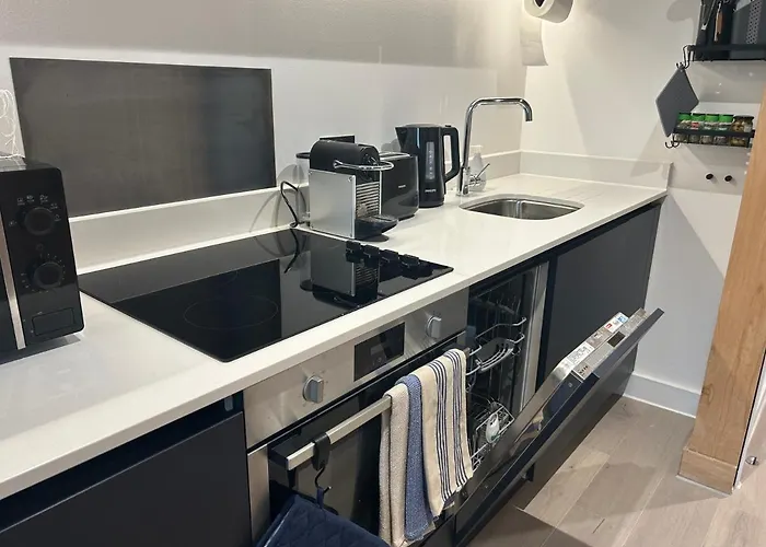 Luxury New Built Split-level Flat With Rooftop Gardens Access Apartment *