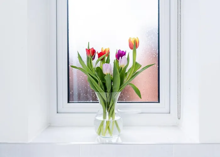 4 Bedroom, 3 Bathroom Walking Distance To Centre 펜션 *