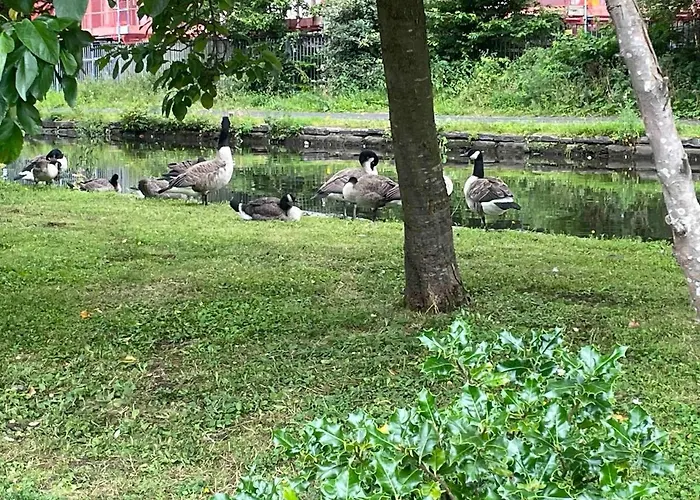 Cityfront Cosy Near Centre & Etihad Stadium, Free Parking * 맨체스터