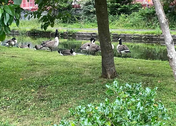 Cityfront Modern Apt near Centre/etihad, Free Parking Apartment *