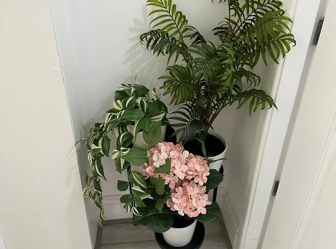 2 Bedroom Flat Close To City, Stadium And Coop Arena *