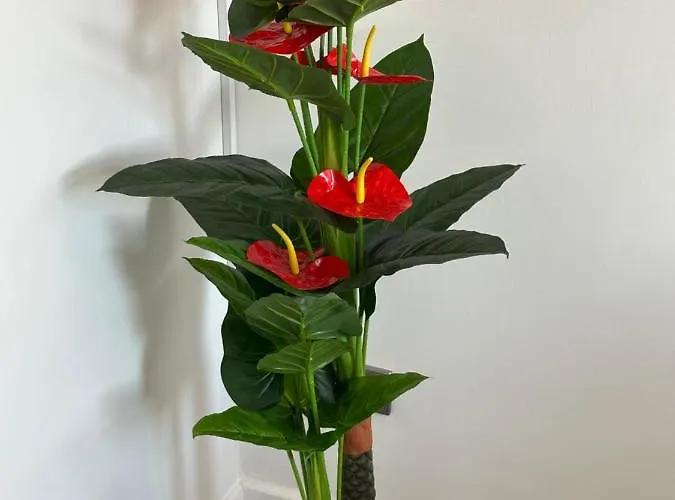 아파트 2 Bedroom Flat Close To City, Stadium And Coop Arena