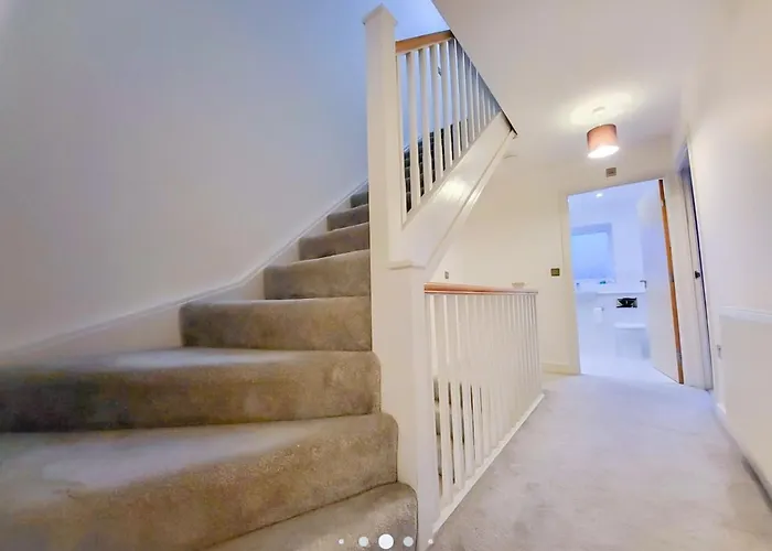 Royal At Coop Live Etihad, Sports Bed & Breakfast