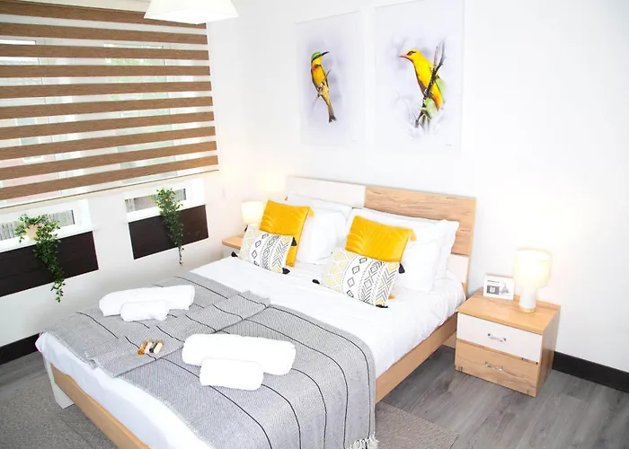 By Bevolve - Free Parking