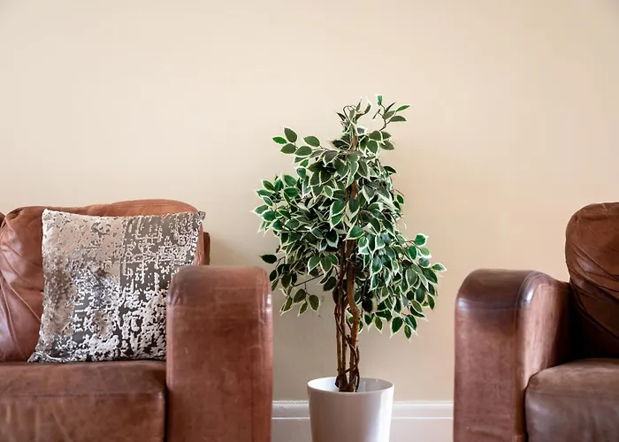 Fantastic, Modern 3 Bedroom House 펜션 *