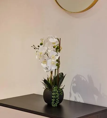 Apartamento The Garnet *